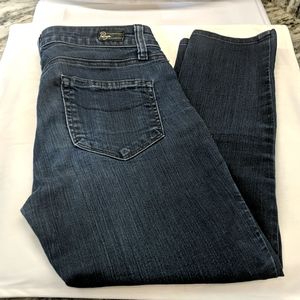 Paige Skyline Denim Skinny Ankle Jeans
